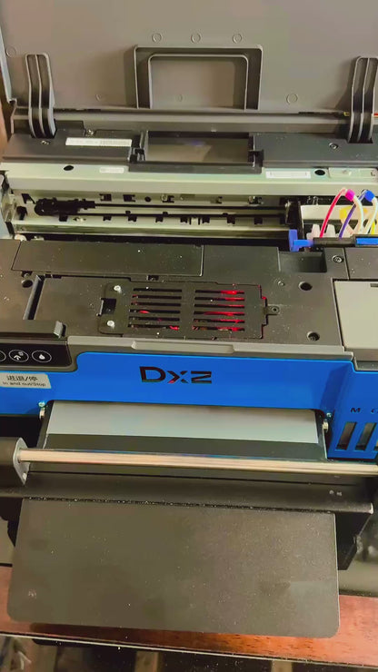 Iran Revolution Support T-Shirt – Authentic Flag Design